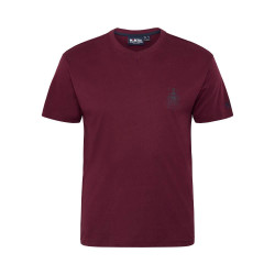 53101 North Printed v-neck t-shirt Bordeaux 